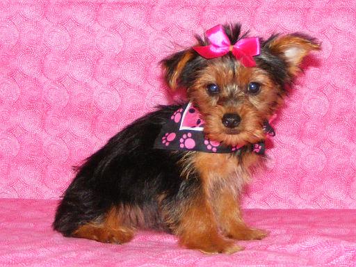 MARLA Date of Birth 07-17-08